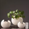 Organic white ceramic vases shown in three sizes