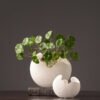 Organic white vase forms in a styled arrangement